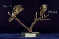 鳳頭蒼鷹藏品圖，第10張